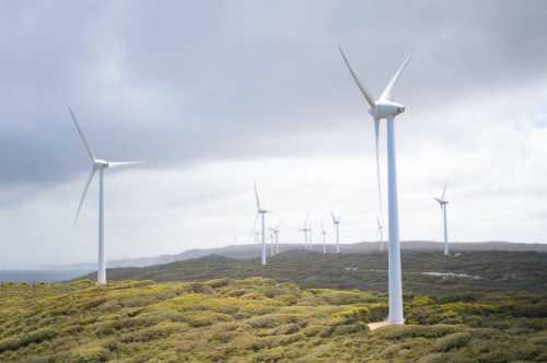 HUMPBACK WHALES AND WIND TURBINES